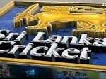 Two Sri Lankan U-19 cricketers released on bail after arrest in alleged video scandal